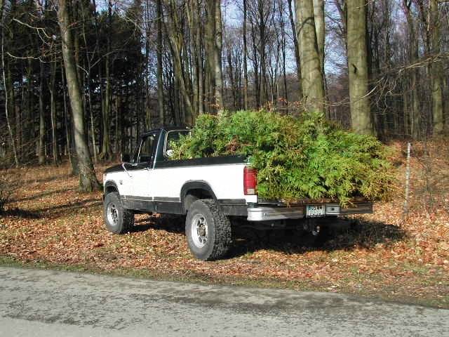 MARTINS RANCH F250 wood truck 